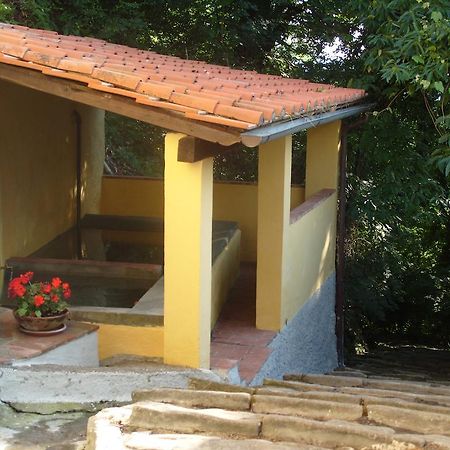 Bed and Breakfast Il Podere Di Giada Bagni di Lucca Zewnętrze zdjęcie